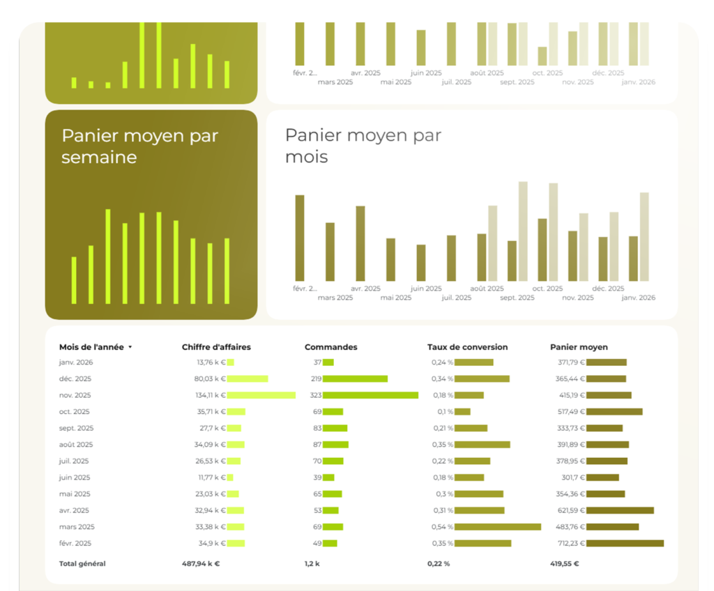 évolution kpis shopify mois par mois