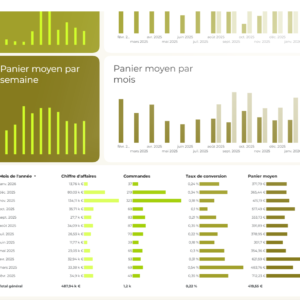 évolution kpis shopify mois par mois
