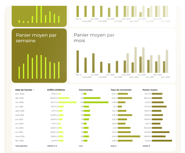 évolution kpis shopify mois par mois