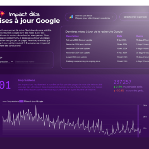 dashboard de suivi de l'impact des mises à jour google