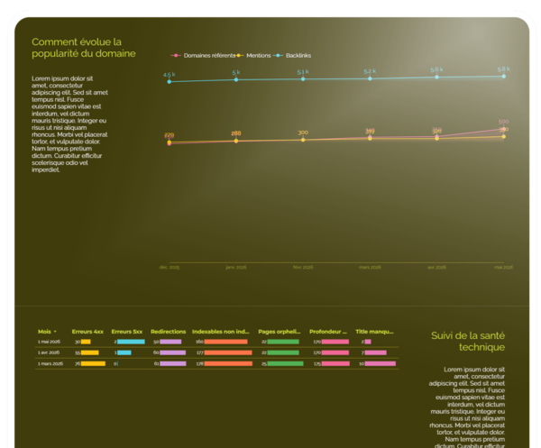 Rush : Reporting mensuel SEO & GEO - Data Studio