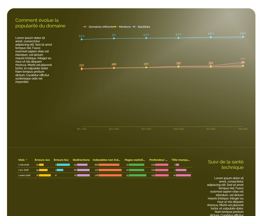 Rush : Reporting mensuel SEO & GEO - Data Studio – Image 4